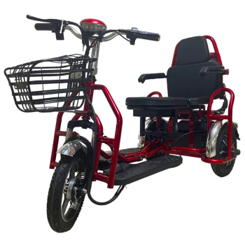 Электротрицикл Elbike Адъютант Double Twix A4 (2x350W 48V 20Ah) Trike